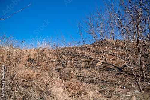 Wallpaper Mural 영종도  Torontodigital.ca