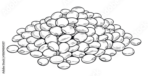 Monochrome line drawing of a generous pile of nutritious lentils or beans for healthy food publications, organic market advertisements, or educational culinary resources.