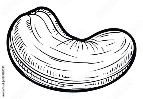 Single cashew nut hand drawn sketch for healthy food packaging, snack branding, nutrition articles, or ingredient labels conveying natural deliciousness