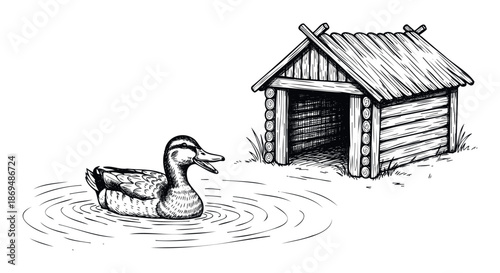 Rustic hand drawn sketch of a duck swimming peacefully in a pond near a traditional wooden hut, ideal for illustrating nature, wildlife, or rural living concepts in various publications.