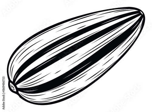 Stylized black and white striped sunflower seed perfect for food product branding, healthy snack promotions, agricultural designs, or organic ingredient visual representations