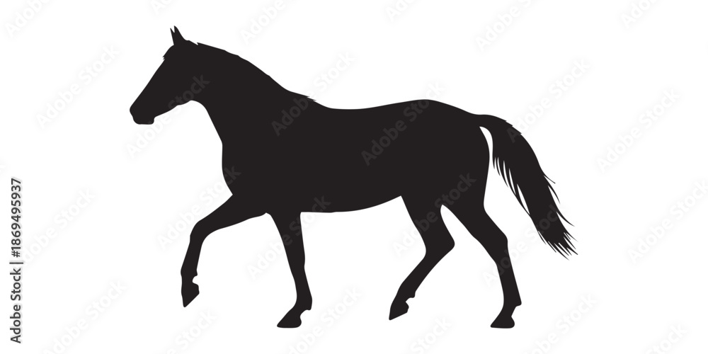 Obraz premium Silhouette of a horse running with its mane and tail flowing in the wind against a white background view,Morgan horse silhouette vector illustration on white background, elegant equine profile artwork
