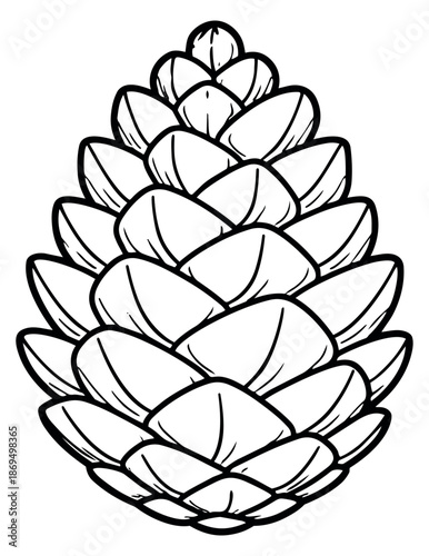 Hand drawn line art illustration of a pine cone depicting a natural forest element for seasonal decorations