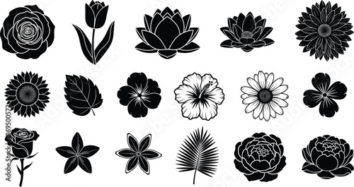 Set of diverse black flower silhouettes including rose, tulip, lotus, daisy and hibiscus, nature collection, cad drawing flat vector illustration