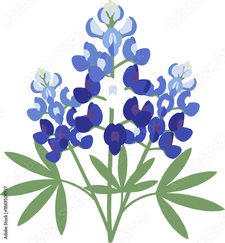 Graphic Simplified Lupine Illustration Texas State Flower Floral Element