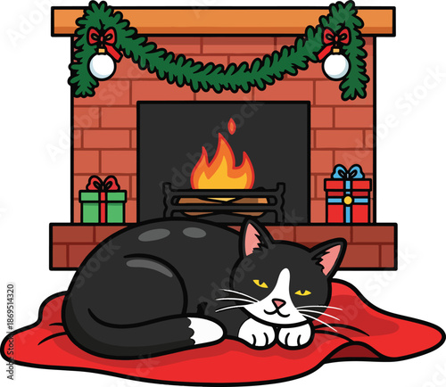A black and white cat lies on a red blanket in front of a lit fireplace