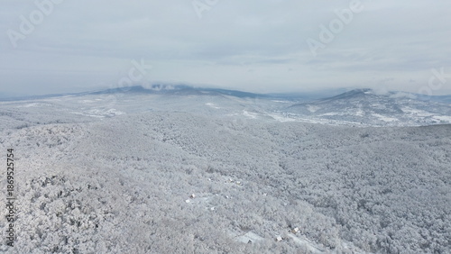 Aerial winter panorama of the Carpathian Mountains covered with snow and frost, vast forested ridges under a pale sky.