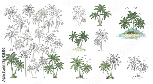 Large collection of tropical palm tree compositions in various hand-drawn sketch and colored styles for design projects.