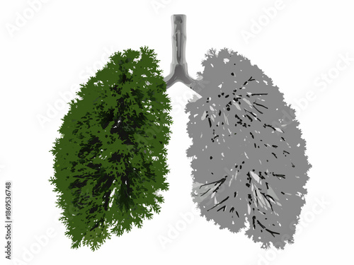 A visual comparison of healthy versus unhealthy lungs highlighting respiratory health