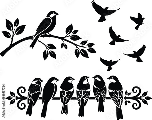 Bird silhouette collection on branches and flying poses, nature wildlife illustration set, black and white vector design