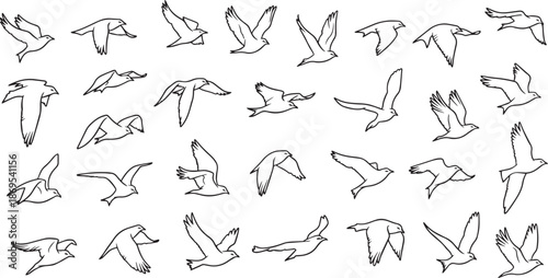 Minimalist Flying Birds Line Art Silhouette Collection with Simple Avian Flight Sketches