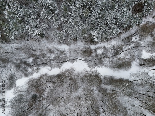 Aerial View of Snow-Covered Forest with Path and Small Stream