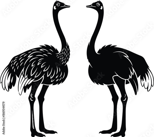 Two, ostriches, silhouette, vector, illustration, isolated, on, white, background, emu, ostrich, bird, animal, wildlife, nature, design, black, and, white, graphics, set, 