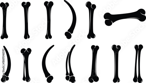 Bone silhouette bundle set featuring various human and animal anatomy shapes, black skeletal elements vector illustration isolated on white background for medical design