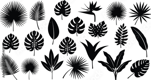 Tropical leaf silhouette collection featuring monstera palm banana and exotic foliage shapes in black vector illustration for botanical design projects