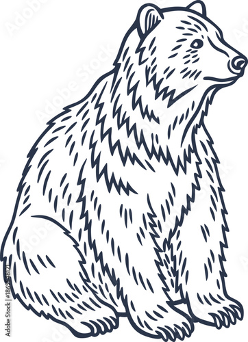 Hand drawn sitting bear illustration with detailed fur texture in black and white line art
