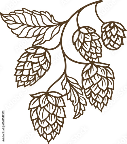 Hop cones and leaves illustration in brown outline, botanical plant design for brewing and herbal concepts