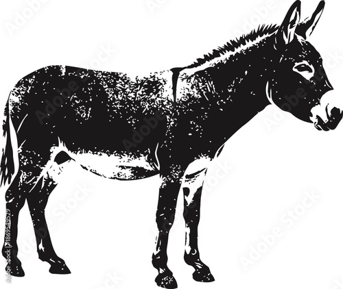 black and white donkey illustration rustic farm animal standing, vintage drawing