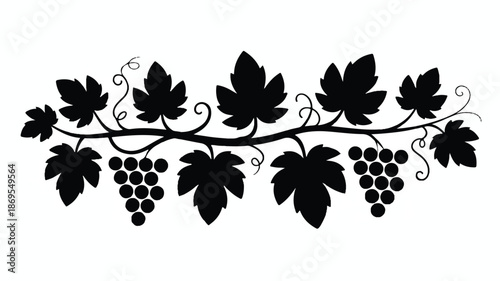 A black and white silhouette illustration of a grape vine design (3)_traced