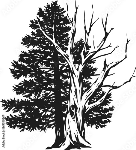 Two contrasting trees illustration showing one fully leafy tree and one barren tree with bare branches