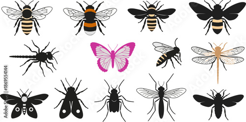 Group of various insects including bees butterflies spiders and dragonflies depicted as silhouettes and detailed drawings