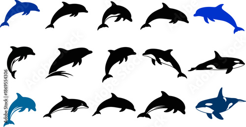 Dolphins jumping and swimming in ocean, marine mammal collection in silhouette, playful sea creatures, underwater life and aquatic animals isolated on transparent background