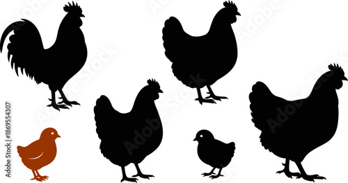 Chicken and rooster silhouettes, farm birds collection, poultry animals and chicks, barnyard fowl in various poses isolated on transparent background