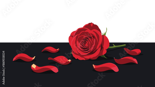 A single red rose lies on a dark surface surrounded by scattered petals, conveying themes of love, romance, or farewell.