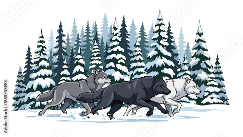 Flat vector illustration of wolves running together in a snowy forest, wildlife teamwork and pack behavior shown in a natural winter habitat for education themes