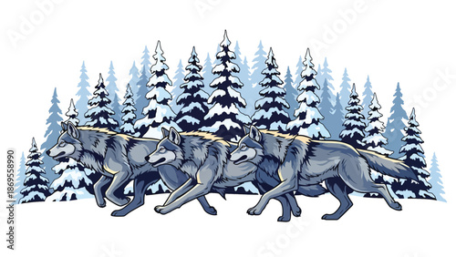 Flat vector illustration of wolves running together in a snowy forest, wildlife teamwork and pack behavior shown in a natural winter habitat for education themes