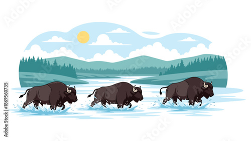 Flat vector illustration of buffalo crossing a river together, wildlife migration and herd behavior shown for conservation and educational storytelling