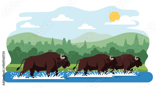Flat vector illustration of buffalo crossing a river together, wildlife migration and herd behavior shown for conservation and educational storytelling