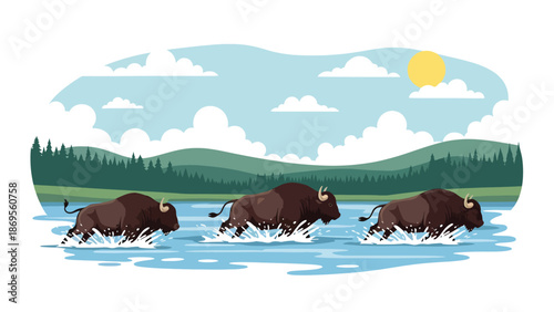 Flat vector illustration of buffalo crossing a river together, wildlife migration and herd behavior shown for conservation and educational storytelling