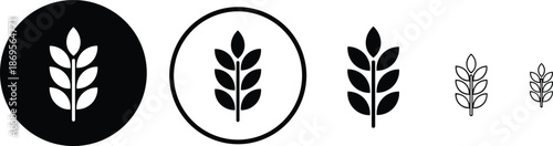 Set of black and white wheat stalk icons representing agriculture organic farming grain production and natural food harvest.