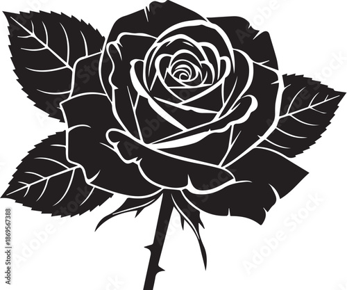 Mother's day tribute with a single black rose