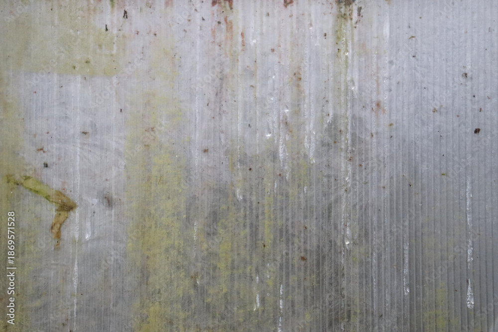 Obraz premium Weathered Plastic Texture with Moss