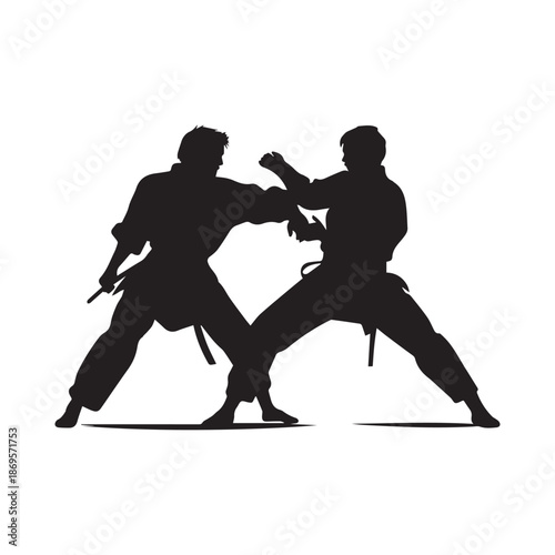 Martial arts fighter. Silhouette of a karate man. Vector illustration.