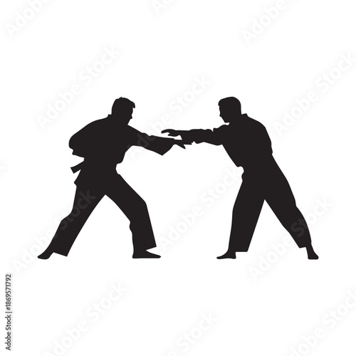 Martial arts fighter. Silhouette of a karate man. Vector illustration.