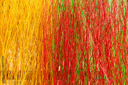 Quadro em tela Abstract background of vibrant painted willow branches in yellow, red, and green