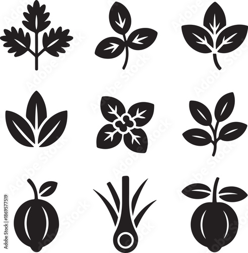 Herb, leaf, spice, plant, cooking, food, basil, mint, ingredient, nature, organic, fresh, vegetable, garden, seasoning