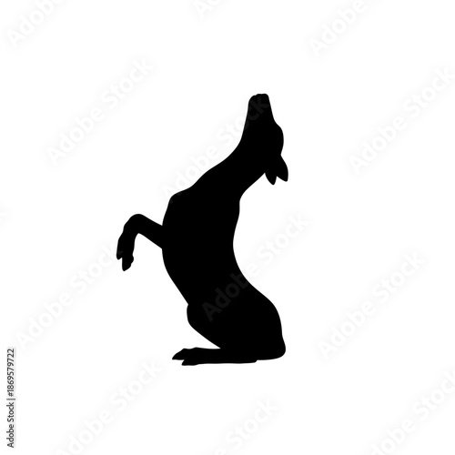 Silhouette of a dog sitting up and begging on white background.