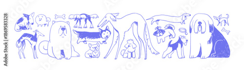 Doodle set of different dog breeds. Cute outline puppies of bulldog, poodle, corgi, dachshund. Funny pups, adorable pets, domestic animals. Flat hand drawn vector illustrations on white background.