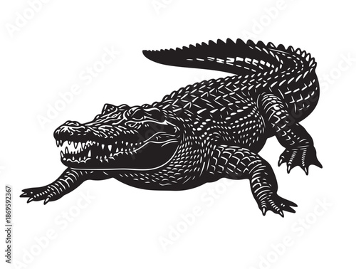 Cuban Crocodile in silhouette white background.