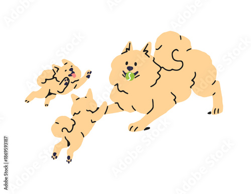 Cute family of fluffy dogs plays ball together. Happy puppies and their mother have fun with toy. Pets mom and babies are joyful. Mum loves kids. Flat isolated vector illustration on white background.