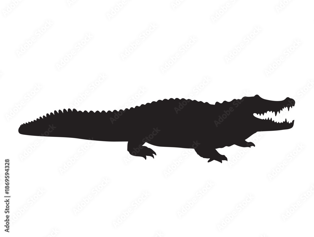 Fototapeta premium Orinoco Crocodile in silhouette white background.