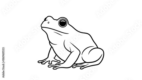 Frog Line Art Illustration - Amphibian Wildlife Vector Icon