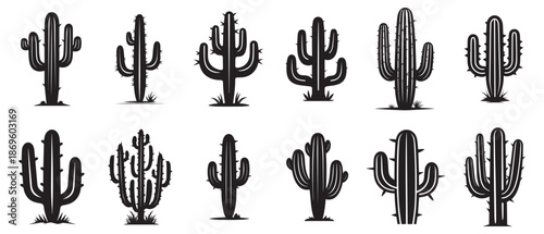 Cactus set collection flora design vector art.