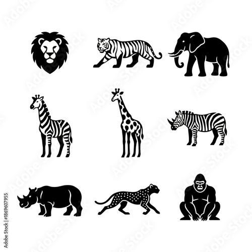 A wild black and white striped zebra vector illustration shows the isolated mammal silhouette as a cartoon nature pattern for safari or zoo wildlife projects