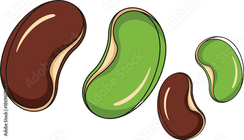 Photos Kidney beans illustration collection with green and brown legumes, simple flat f