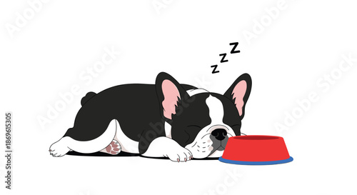 Adorable sleeping black and white French Bulldog puppy napping peacefully beside its empty red food bowl with zzz above.